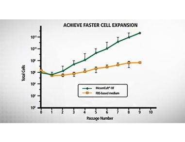 MesenCult&trade;-XF Introduction: A Defined, Xeno-free Medium for Human MSCs
