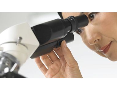 Contract Assay Services: Reach Your Milestones Earlier