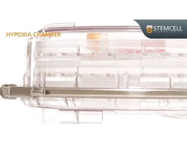 How to Assemble and Purge the Hypoxia Incubator Chamber