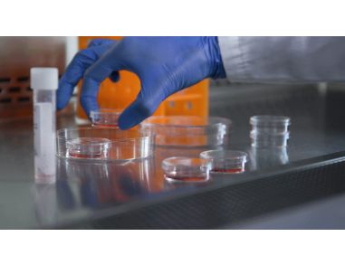 CFU Assay Instructions for Global Proficiency Testing Programs