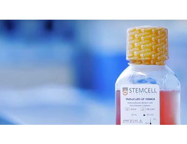 Procedure for Setting Up the CFC Assay