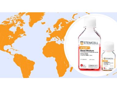 mTeSR™1: The Most Published, Feeder-Independent hESC & hiPSC Maintenance Medium