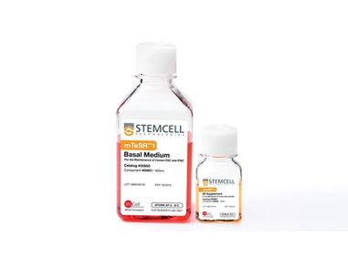 mTeSR™1: Standardized Medium for the Feeder-Independent Maintenance of hESCs & hiPSCs