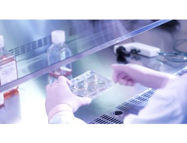 A Guide to Passaging Human Pluripotent Stem Cells Using mTeSR™1