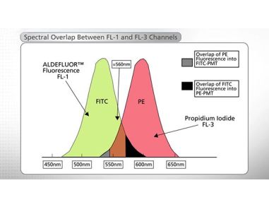 Flow Cytometry Analysis of ALDH Bright Cells with the ALDEFLUOR™ Assay Kit