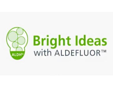 Bright Ideas Podcast: ALDH in Breast Cancer Treatment Response    