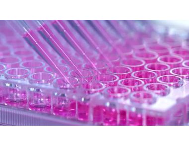 How to Generate Hybridomas in 96-Well Plates Using ClonaCell™-HY Semi-Solid Cloning Medium 