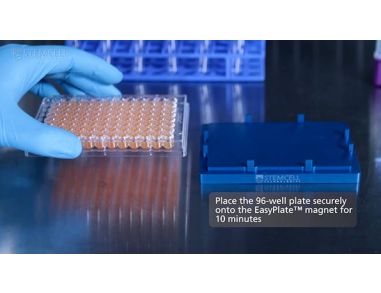How to Isolate Cells in 96-Well Plates Using the EasyPlate™ Cell Separation Magnet