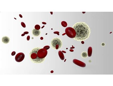HetaSep™: A Guide to Isolating Nucleated Cells from Whole Blood