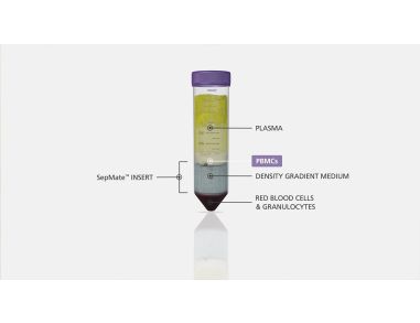 How to Isolate PBMCs from Whole Blood Using the SepMate™ PBMC Isolation Tubes: 15-Minute Protocol