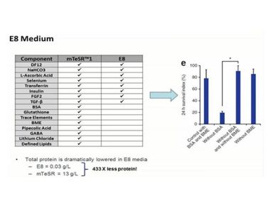 The Role of Albumin in Feeder-Free Culture Media