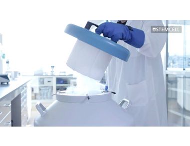How to Prepare a Single Cell Suspension from Frozen Samples and Prevent Cell Clumping