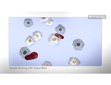 How to Count Cells Using a Hemocytometer