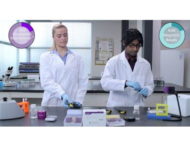 Comparison of Mouse Immune Cell Isolation Protocols: EasySep™ vs. Column-Based Magnetic Separation