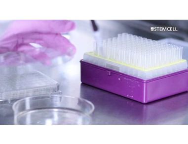 Semi-Solid Cloning of CHO Cells Using ClonaCell™-CHO Medium