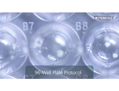 Customizable Semi-Solid Cloning of Mammalian Cells in 96-Well Plates Using ClonaCell™ FLEX Medium