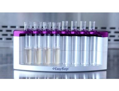 How to Pipette Off Samples During Cell Isolation Using the EasyEights™ EasySep™ Cell Separation Magnet