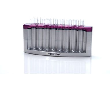 Simultaneous Cell Isolation from Multiple Samples Using the EasyEights™ EasySep™ Magnet 