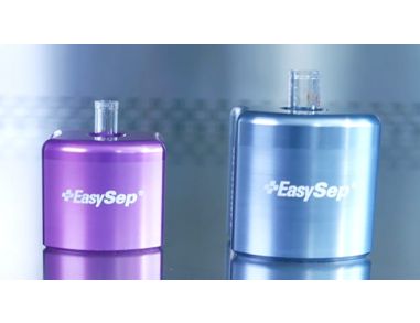 How to Isolate Cells Directly from Whole Blood Using the EasySep™ Purple/Silver Magnets