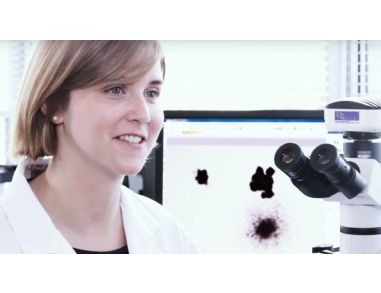 Contract Assay Services at STEMCELL Technologies Inc