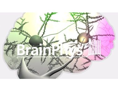 BrainPhys™: A New Way to Culture Neurons
