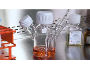 mTeSR™3D: Simplify your hPSC Suspension Culture and Scale Up