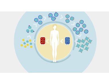 CAR T Cell Manufacturing Workflow: Isolation, Activation and Expansion