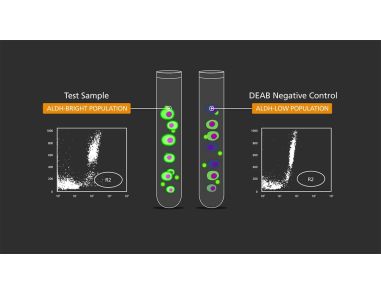 How ALDEFLUOR™ ALDH Assay Kit Detects Normal and Cancer Progenitor Cells