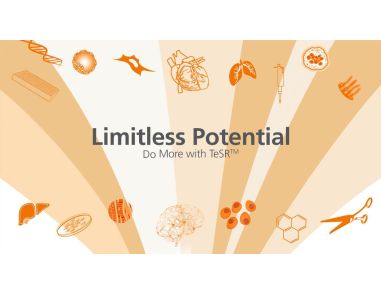 Limitless Potential: Do More with TeSR™