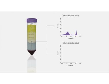 Combine SepMate with RosetteSep for One-Step Cell Isolation