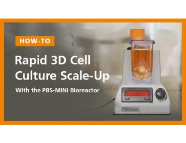 Rapid 3D Cell Culture Scale-Up