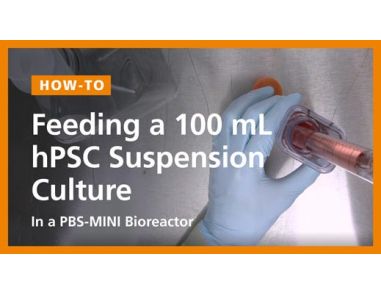 Feeding a 100mL hPSC Suspension Culture in a PBS-Mini Bioreactor