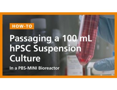 Passaging a 100mL hPSC Suspension Culture in a PBS-Mini Bioreactor
