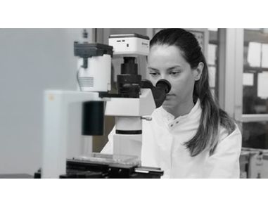 Human Primary Cells - Get the Cells You Need from STEMCELL Technologies