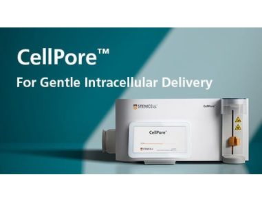 CellPore™: For Gentle Intracellular Delivery