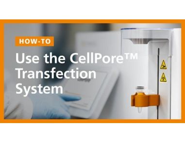 How to Use the CellPore™ Transfection System