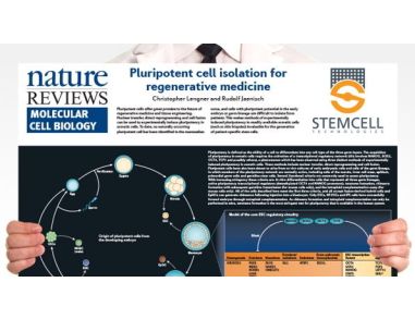 Pluripotent Stem Cell Biology