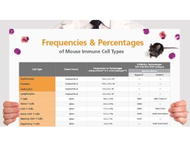 Frequencies and Percentages of Mouse Immune Cell Types