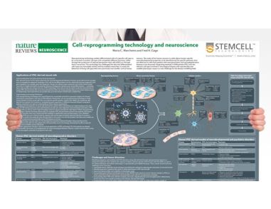 Cell-Reprogramming Technology and Neuroscience