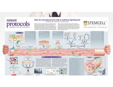 Roles for MSCs as Medicinal Signaling Cells