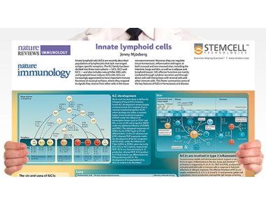 Innate Lymphoid Cells