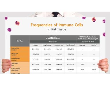 Frequencies of Immune Cells in Rat Tissue