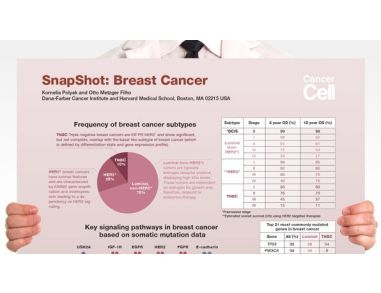 SnapShot: Breast Cancer
