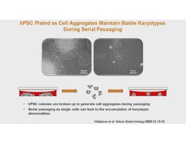 ISSCR 2014 Innovation Showcase - Scalable Enzyme-Free Protocols for the Isolation and Maintenance of Human Induced Pluripotent Stem Cells (hiPSCs) Without Mechanical Colony Scraping