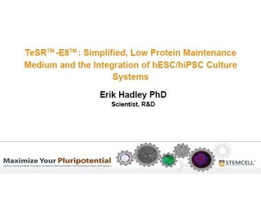 Choosing the Right Medium for Your hPSC Culture