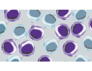 Fast and Versatile Isolation of Distinct Human Regulatory T Cell Subsets