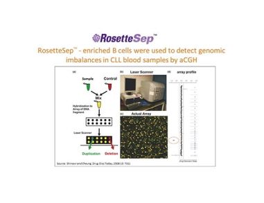 Enhance Sensitivity of Downstream Assays with Highly Purified Cells for Multiple Myeloma and CLL Research