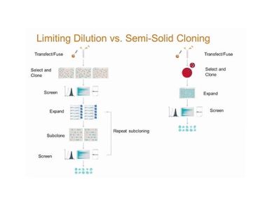 A Smarter Way To Clone: What You Don't Know About Limiting Dilution Can Hurt Your Probability of Monoclonality