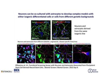 From Pluripotent Stem Cells to Neurons and Astrocytes - Modeling Human Neurological Disease