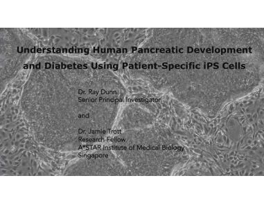 Understanding Pancreatic Development and Diabetes Using Patient-Specific iPS Cells